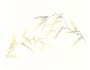 TCM, Traditionelle Chinesische Medizin TCM, Traditionelle Chinesische Medizin