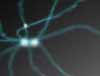 Scripte Webentwicklung, Linux und OpenSOurce-Software